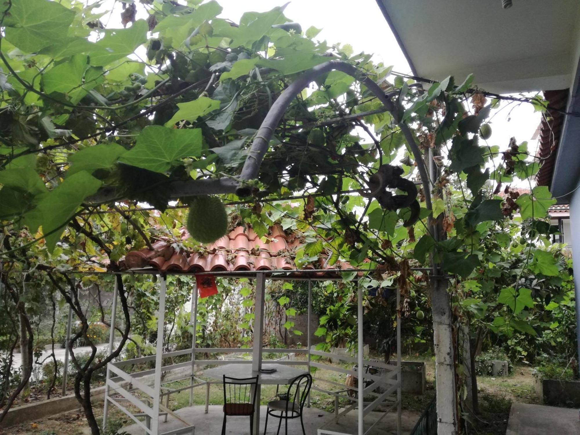 دراس Villa Osmani المظهر الخارجي الصورة