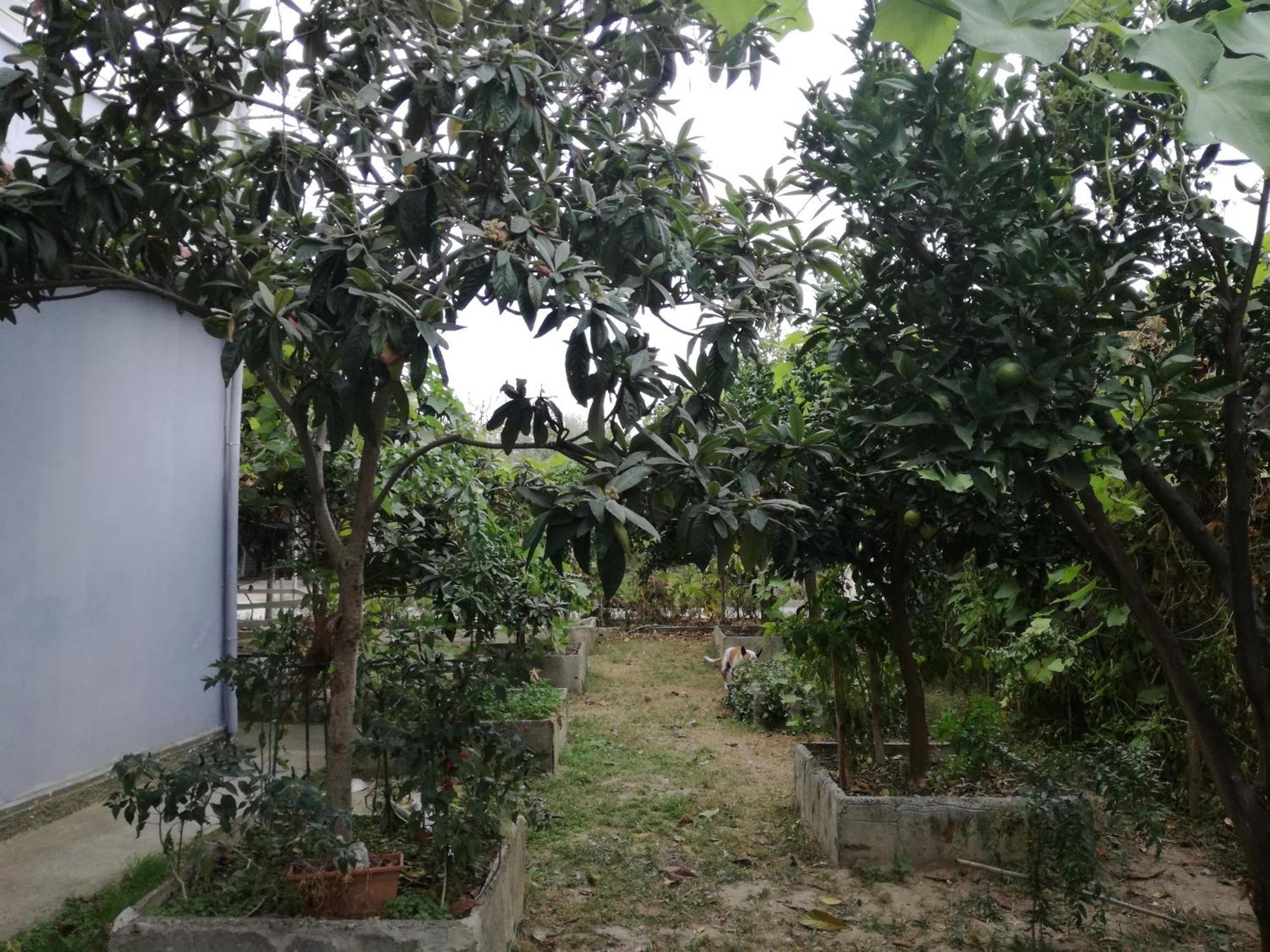 دراس Villa Osmani المظهر الخارجي الصورة